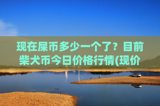 现在屎币多少一个了？目前柴犬币今日价格行情(现价0.0001545元)