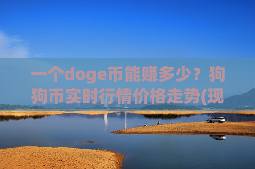 一个doge币能赚多少？狗狗币实时行情价格走势(现价2.2958元)
