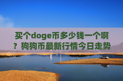 买个doge币多少钱一个啊？狗狗币最新行情今日走势图表(现价2.329元)