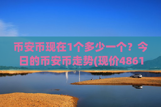 币安币现在1个多少一个？今日的币安币走势(现价4861.35元)