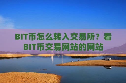 BIT币怎么转入交易所？看BIT币交易网站的网站
