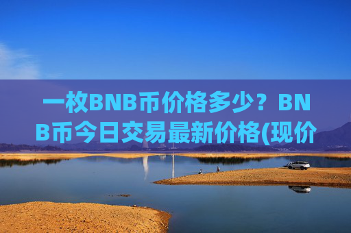 一枚BNB币价格多少？BNB币今日交易最新价格(现价4884.69元)