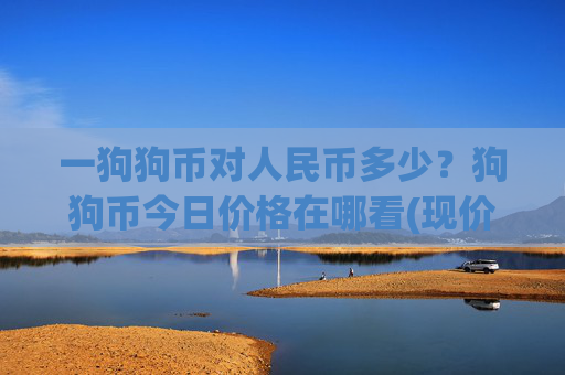 一狗狗币对人民币多少？狗狗币今日价格在哪看(现价2.3245元)