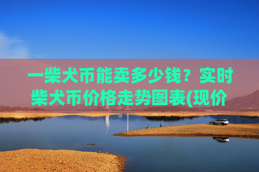 一柴犬币能卖多少钱？实时柴犬币价格走势图表(现价0.00015537元)