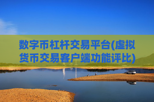 数字币杠杆交易平台(虚拟货币交易客户端功能评比)