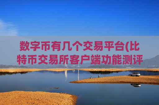 数字币有几个交易平台(比特币交易所客户端功能测评)