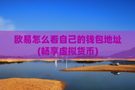欧易怎么看自己的钱包地址(畅享虚拟货币)