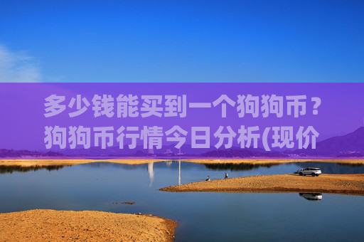 多少钱能买到一个狗狗币？狗狗币行情今日分析(现价2.2861元)