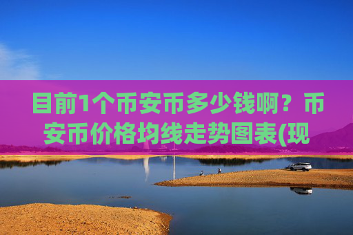目前1个币安币多少钱啊？币安币价格均线走势图表(现价4946.11元)