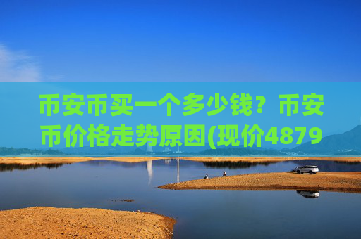 币安币买一个多少钱？币安币价格走势原因(现价4879.74元)