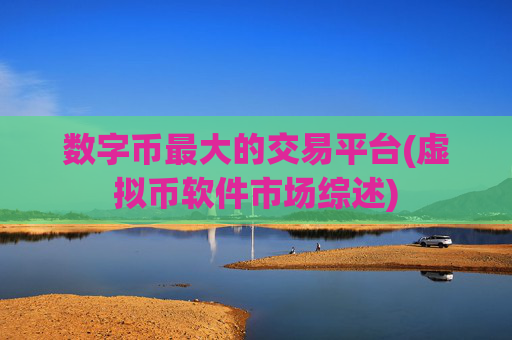 数字币最大的交易平台(虚拟币软件市场综述)