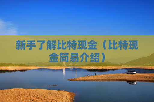 新手了解比特现金（比特现金简易介绍）
