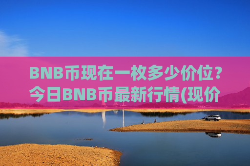 BNB币现在一枚多少价位？今日BNB币最新行情(现价4881.5元)