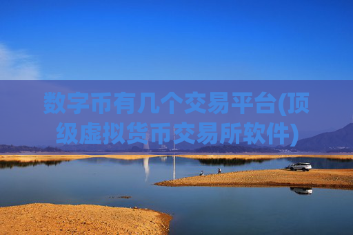 数字币有几个交易平台(顶级虚拟货币交易所软件)