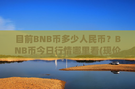 目前BNB币多少人民币？BNB币今日行情哪里看(现价4832.2元)