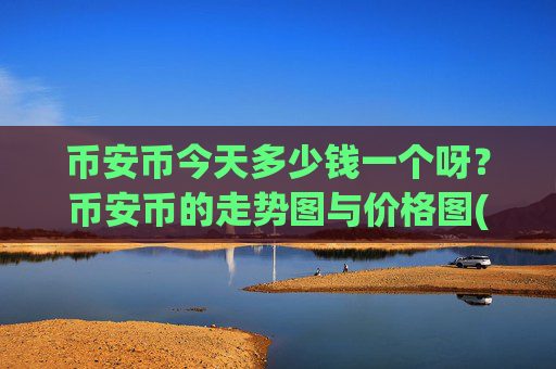 币安币今天多少钱一个呀？币安币的走势图与价格图(现价4801.86元)
