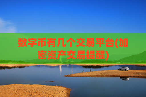 数字币有几个交易平台(加密资产交易提醒)