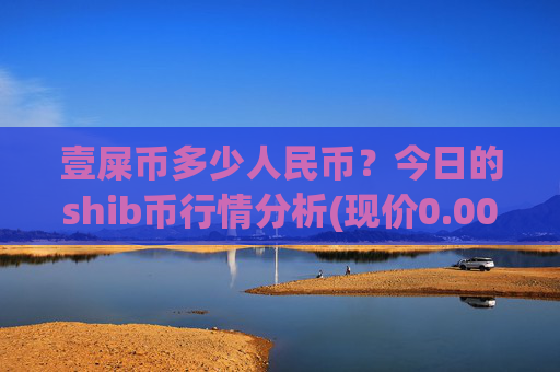 壹屎币多少人民币？今日的shib币行情分析(现价0.00015271元)