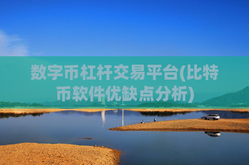 数字币杠杆交易平台(比特币软件优缺点分析)