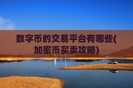 数字币的交易平台有哪些(加密币买卖攻略)