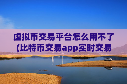 虚拟币交易平台怎么用不了(比特币交易app实时交易)
