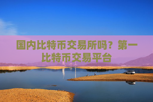 国内比特币交易所吗?第一比特币交易平台