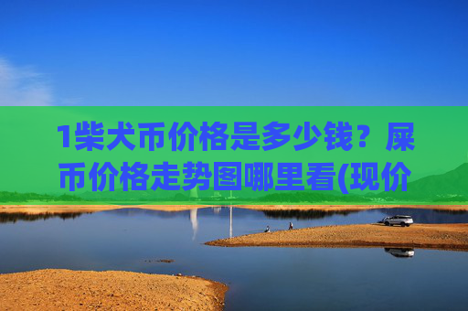 1柴犬币价格是多少钱？屎币价格走势图哪里看(现价0.00014893元)