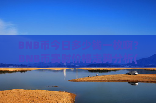 BNB币今日多少钱一枚啊？BNB币实时价格走势分析(现价4829.83元)