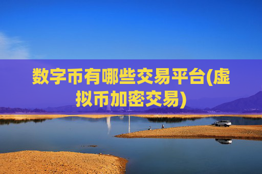 数字币有哪些交易平台(虚拟币加密交易)