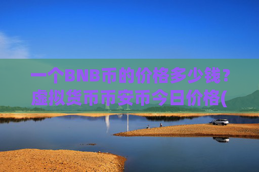 一个BNB币的价格多少钱？虚拟货币币安币今日价格(现价4832.47元)