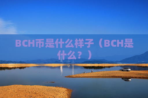 BCH币是什么样子（BCH是什么？）