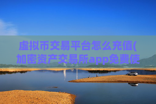 虚拟币交易平台怎么充值(加密资产交易所app免费使用)