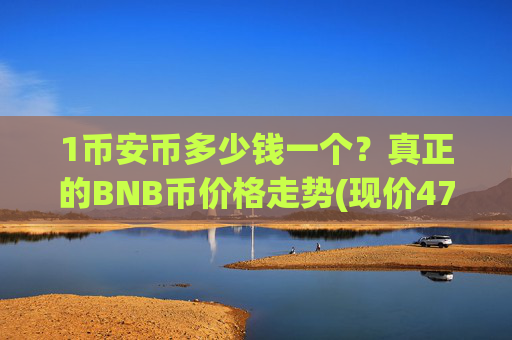 1币安币多少钱一个？真正的BNB币价格走势(现价4785.45元)