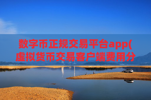 数字币正规交易平台app(虚拟货币交易客户端费用分析)