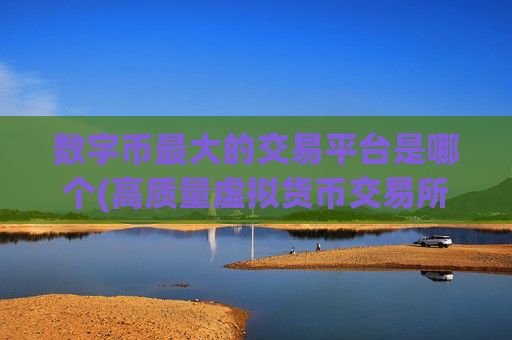 数字币最大的交易平台是哪个(高质量虚拟货币交易所)