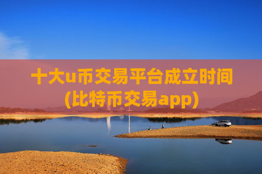 十大u币交易平台成立时间(比特币交易app)