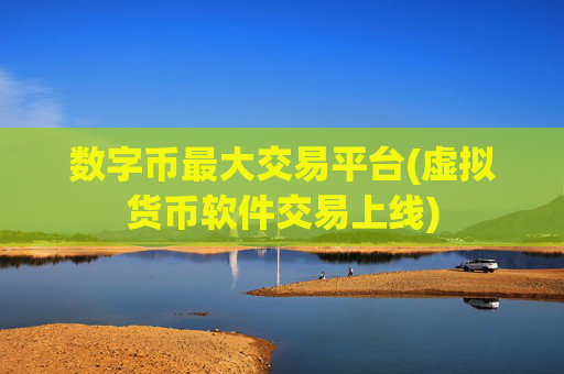数字币最大交易平台(虚拟货币软件交易上线)