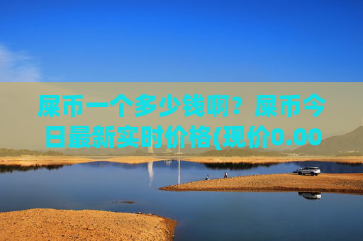 屎币一个多少钱啊？屎币今日最新实时价格(现价0.00015654元)