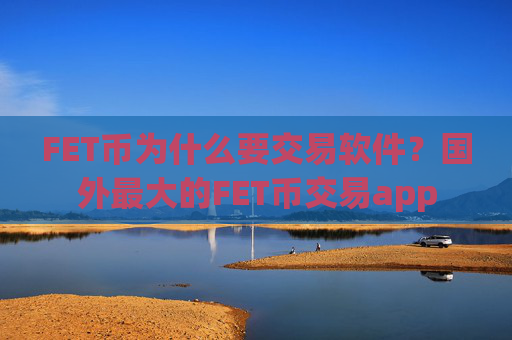 FET币为什么要交易软件？国外最大的FET币交易app