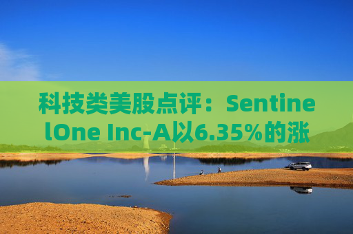 科技类美股点评：SentinelOne Inc-A以6.35%的涨幅位居榜首