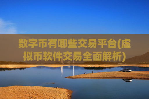 数字币有哪些交易平台(虚拟币软件交易全面解析)