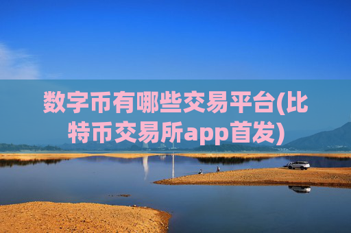 数字币有哪些交易平台(比特币交易所app首发)