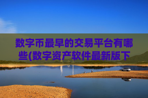 数字币最早的交易平台有哪些(数字资产软件最新版下载)