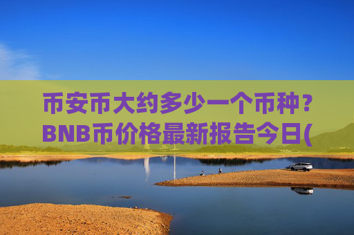 币安币大约多少一个币种？BNB币价格最新报告今日(现价4801.35元)