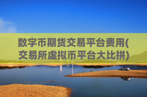 数字币期货交易平台费用(交易所虚拟币平台大比拼)