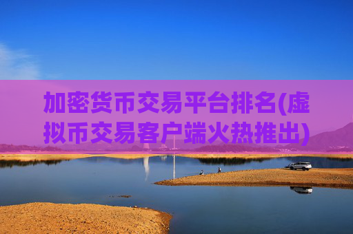 加密货币交易平台排名(虚拟币交易客户端火热推出)