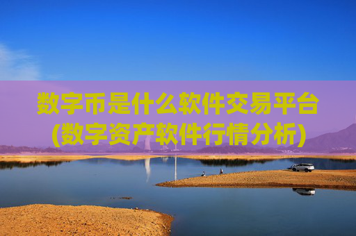 数字币是什么软件交易平台(数字资产软件行情分析)