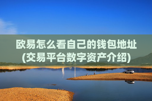 欧易怎么看自己的钱包地址(交易平台数字资产介绍)
