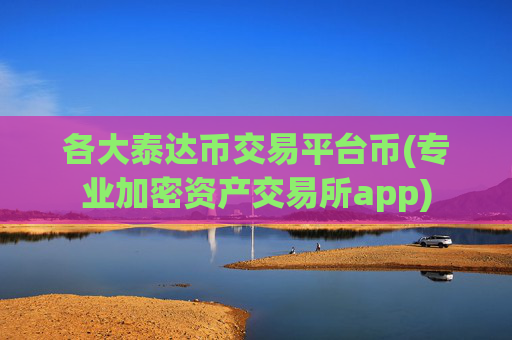 各大泰达币交易平台币(专业加密资产交易所app)