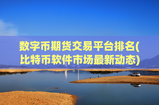 数字币期货交易平台排名(比特币软件市场最新动态)